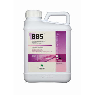 BB5 5L