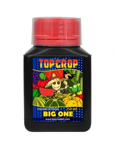 BIG ONE TOP CROP