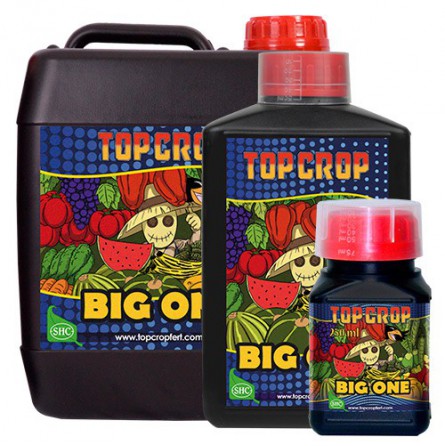 BIG ONE TOP CROP
