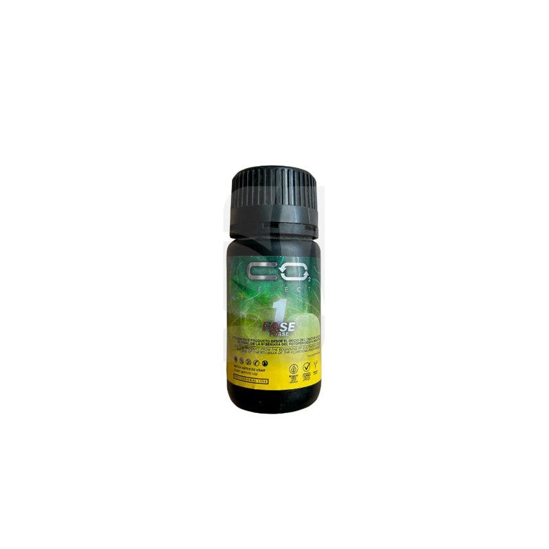 CO2 FASE 1