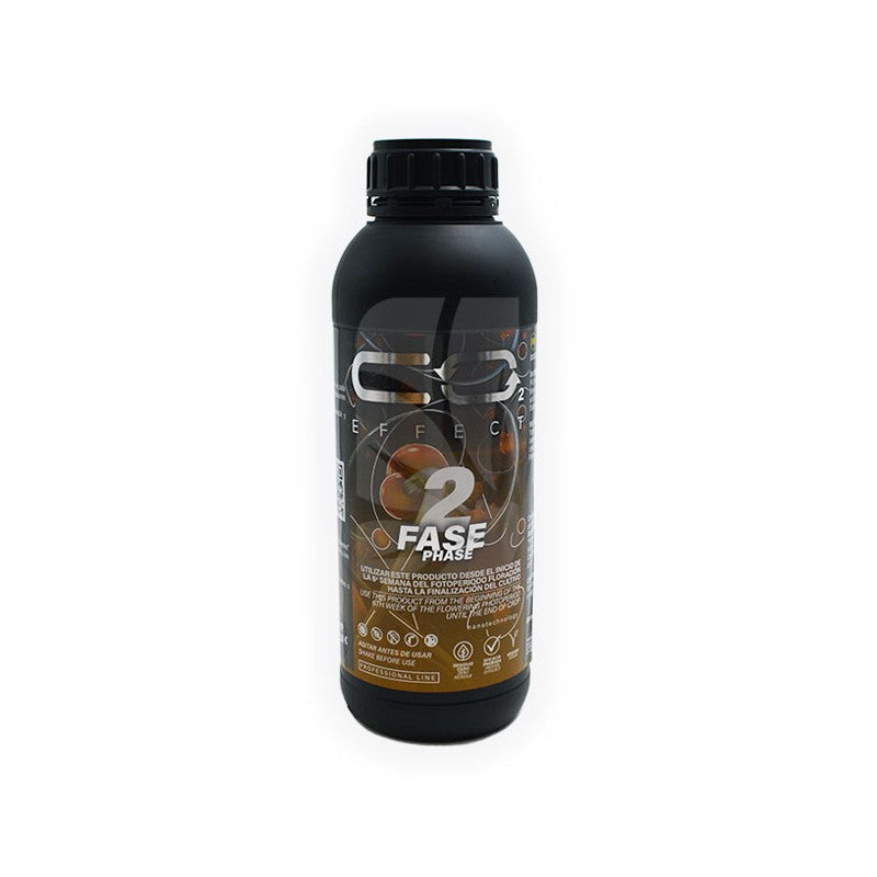 CO2 FASE 2