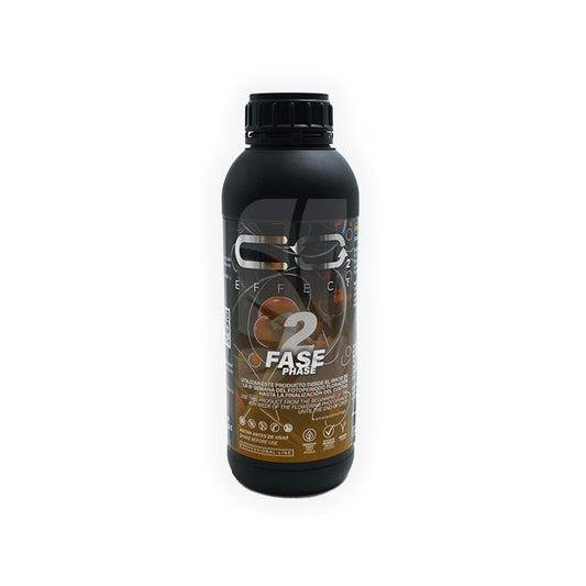 CO2 FASE 2