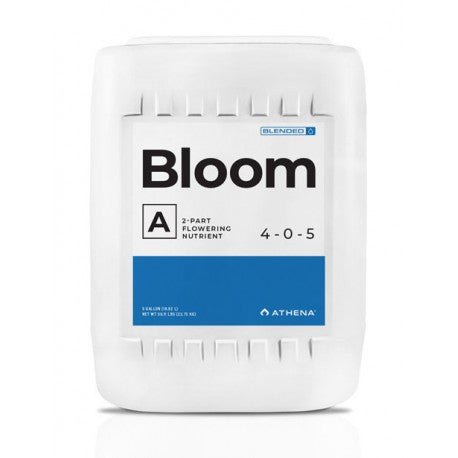 BLOOM A ATHENA
