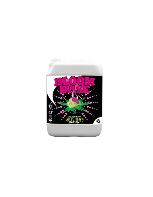 BLOOM BASE BRUJO