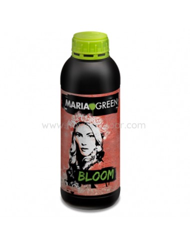 BLOOM MARIA GREEN