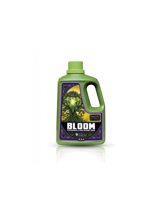 BLOOM PROF EMERALD