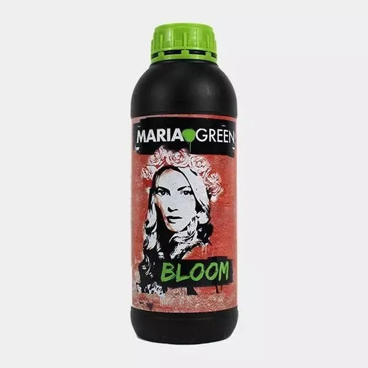 Bloom