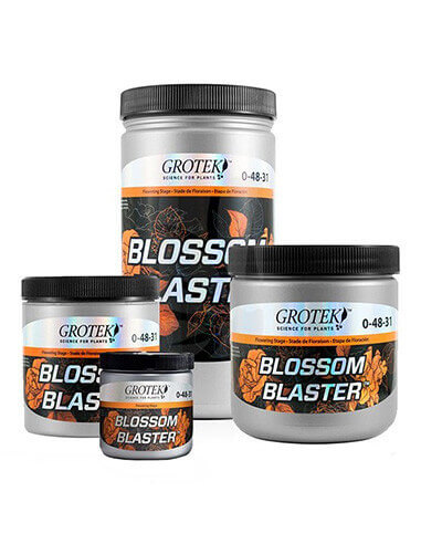 GROTEK BLOSSOM BLASTER