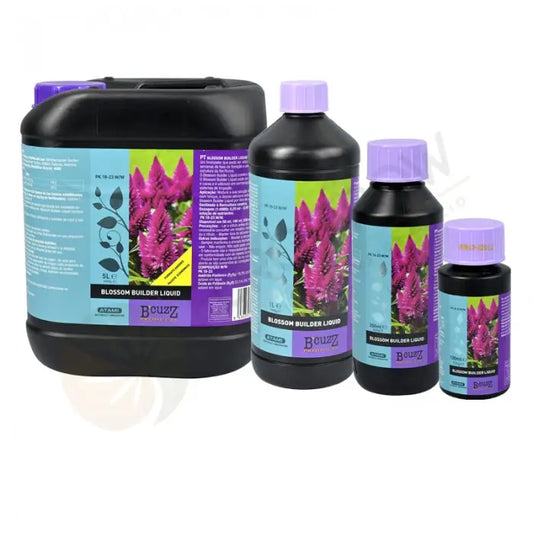 ATAMI BCUZZ BLOSSOM BUILDER