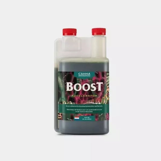 Boost Accelerator