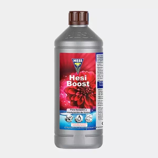 Hesi Boost