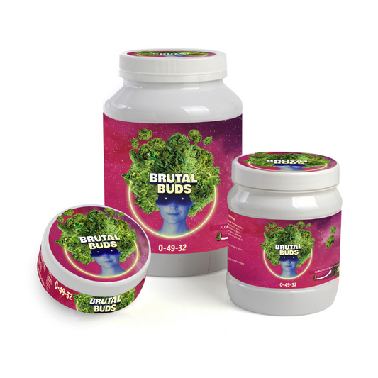 BRUTAL BUDS