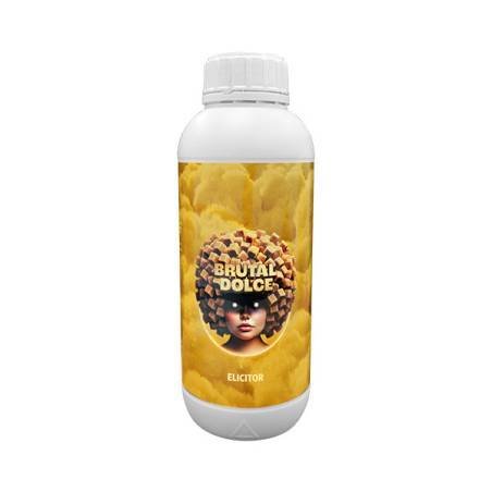BRUTAL DOLCE