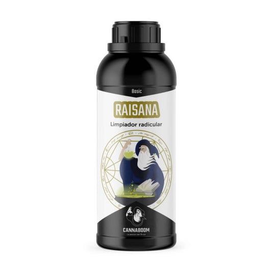 RAISANA ENZIMAS 1L BRUJO
