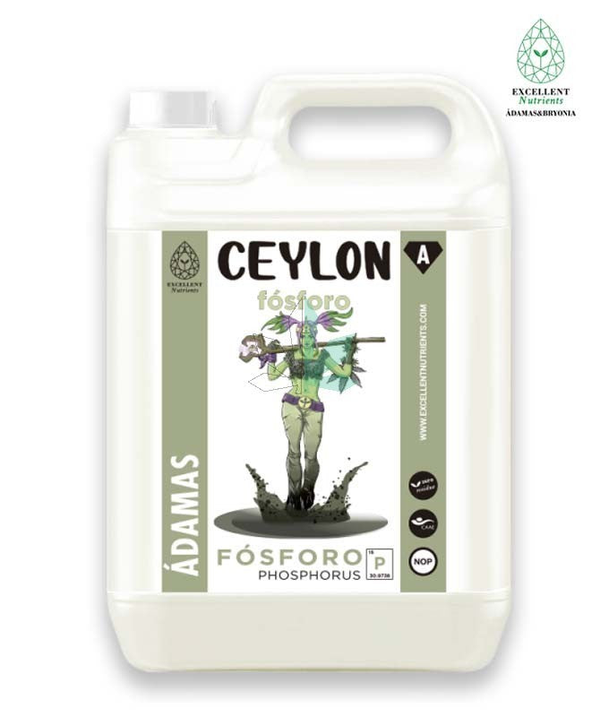 ÁDAMAS CEYLON 1L