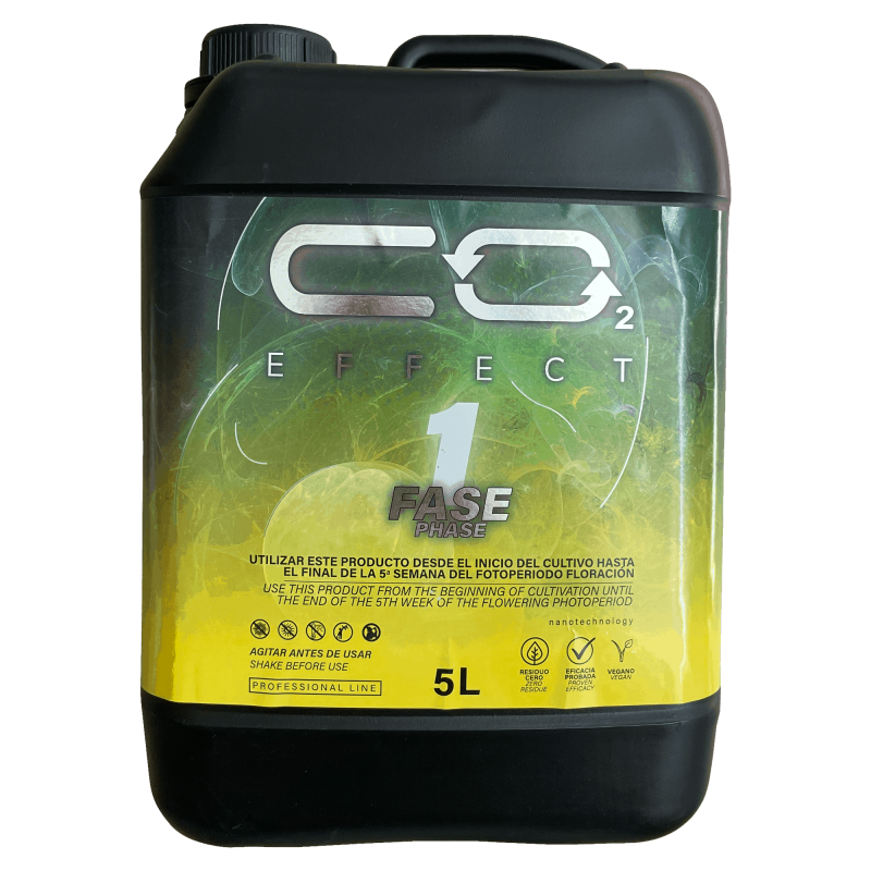 CO2 FASE 1