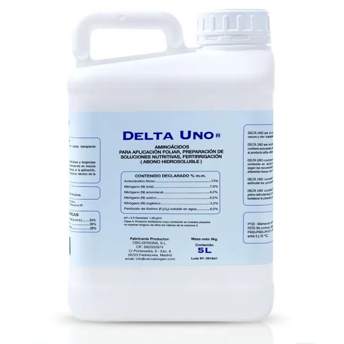 DELTA UNO RAIZ