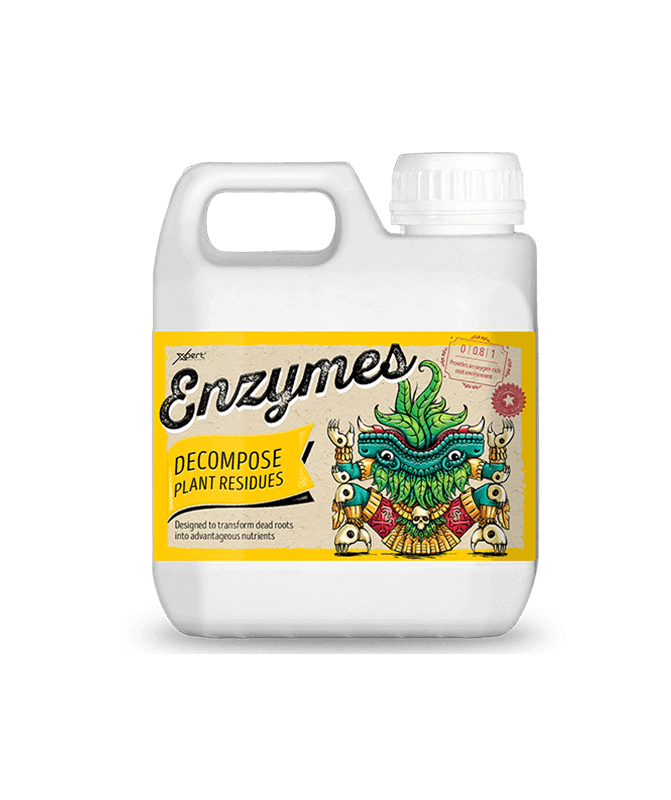 XPERT ENZYMES