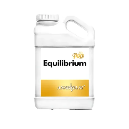ANARKIA81 EQUILIBRIUM