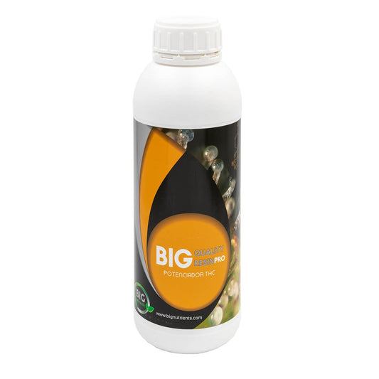 BIG QUALITY RESIN PRO