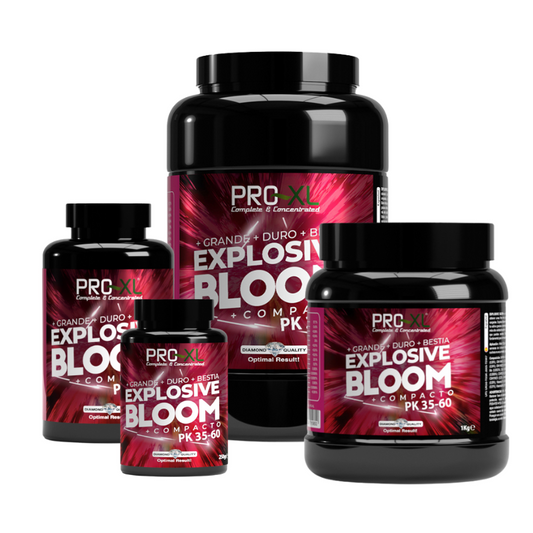EXPLOSIVE BLOOM PRO-XL