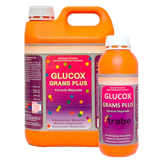 GLUCOX GRAMS PLUS TRABE