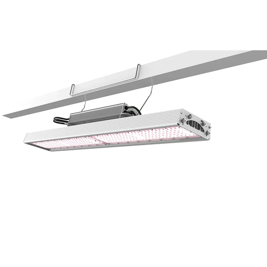 RISEN GREEN 660W LED TOP LIGHTING COMPACT