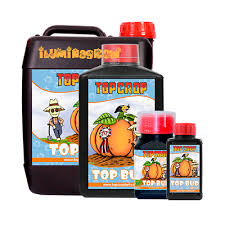 TOP BUD TOP CROP