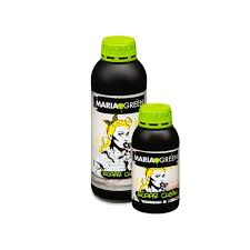 SUGAR CLEAN MARIA GREEN