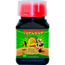 GREEN EXPLOSION 250ML TOP CROP