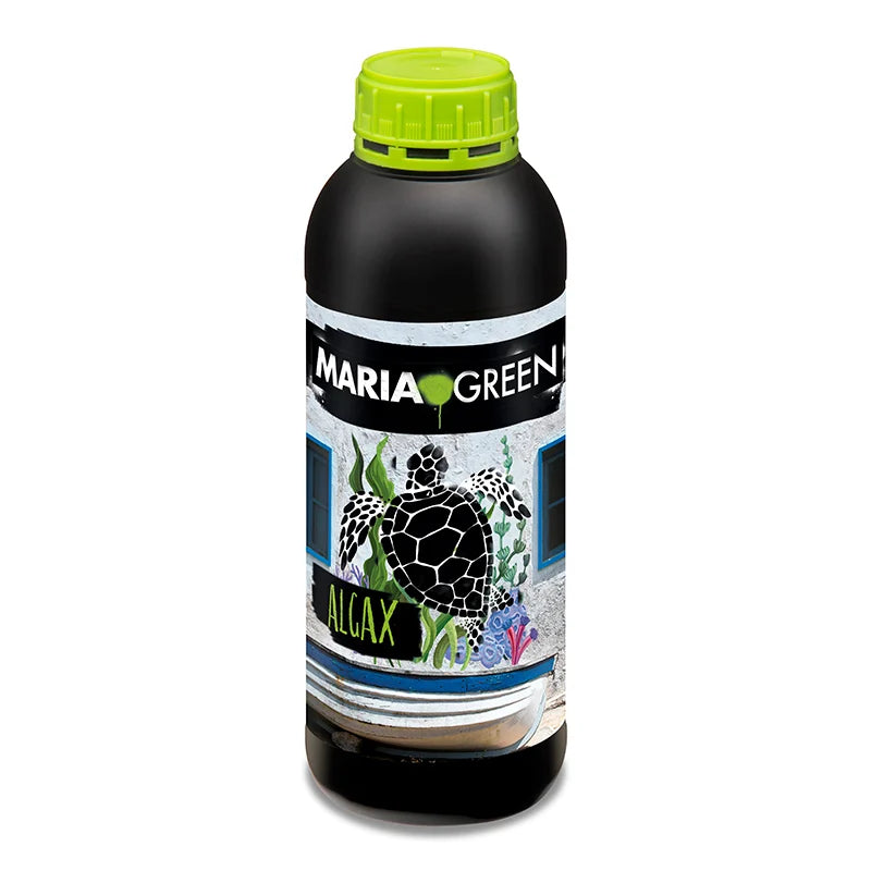ALGAX MARIA GREEN