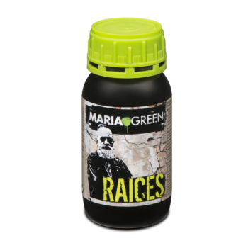 ROOTS MARIA GREEN