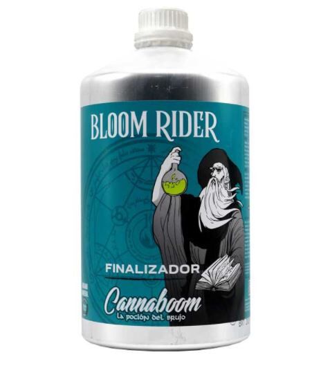 BLOOM RIDER BRUJO