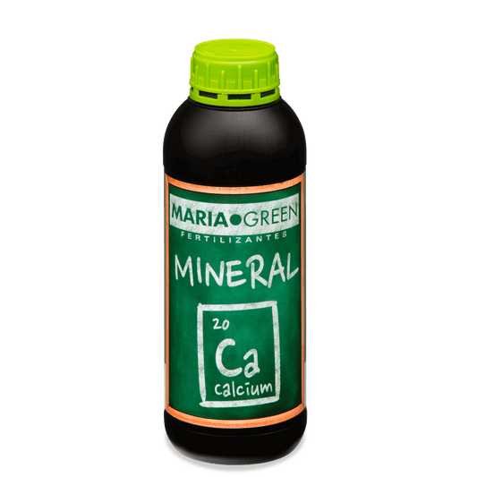 MINERAL CA 1L MARIA GREEN