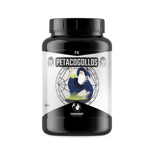 PETA COGOLLOS BRUJO