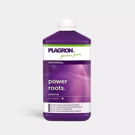Power Roots