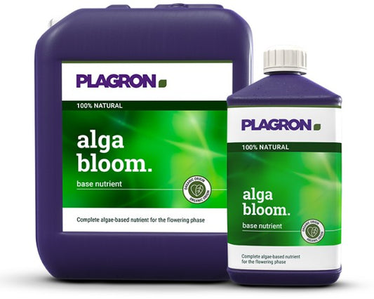 ALGA BLOOM PLAGRON