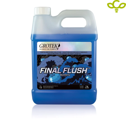 FINAL FLUSH BLUEBERRY 1L