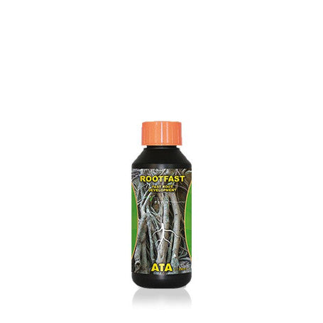 ROOTFAST ATAMI