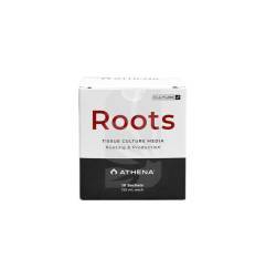 ROOTS CULTURE ATHENA