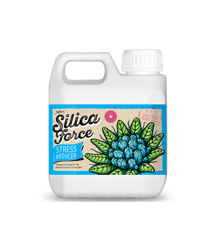 XPERT SILICA FORCE