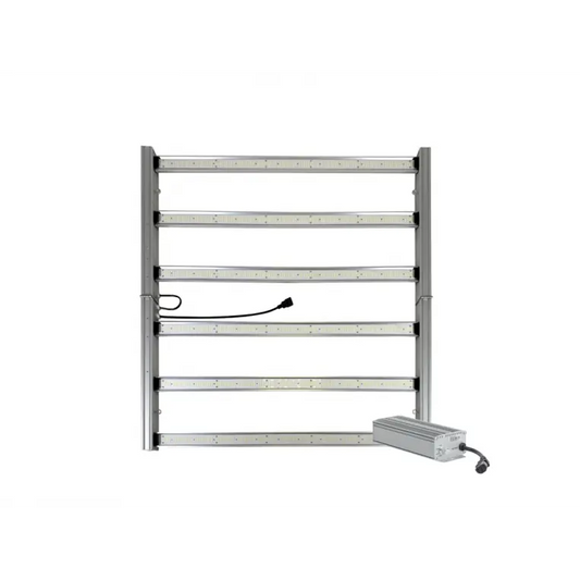 MASTER KING LED 720W