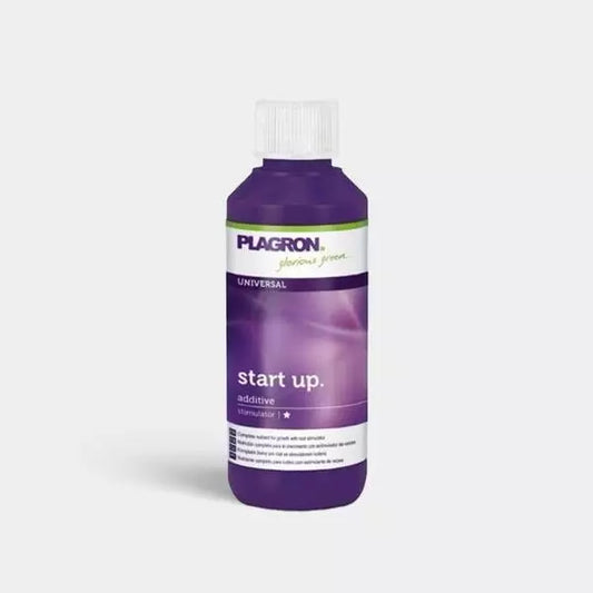 START UP 1L PLAGRON