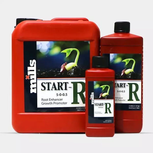 Start R