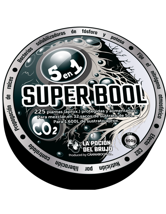 SUPER BOOL BRUJO