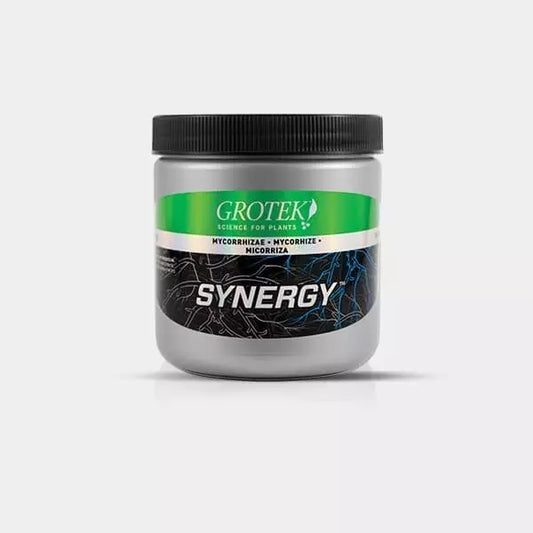 SYNERGY GROTEK