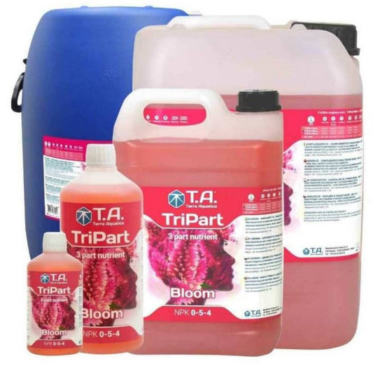 TRIPART BLOOM TA