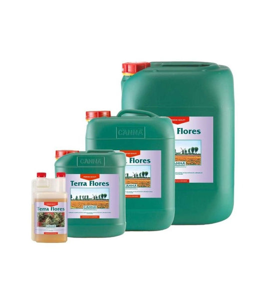 CANNA TERRA FLORES
