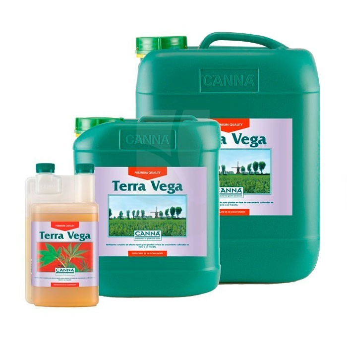 CANNA TERRA VEGA