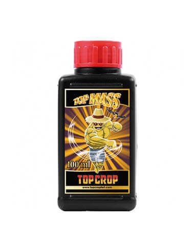 TOP MASS 1L TOP CROP